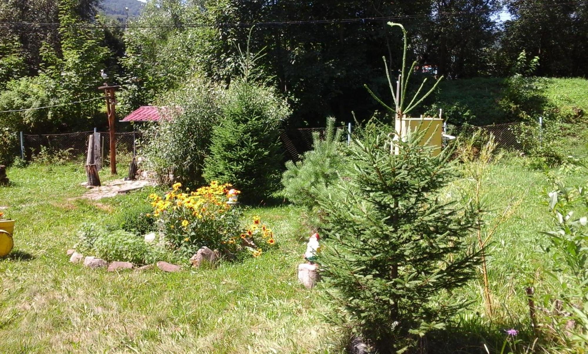 U Pana Ivana Yaremche Oda fotoğraf